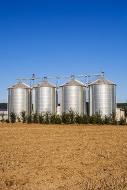 silo ile hasat alanında