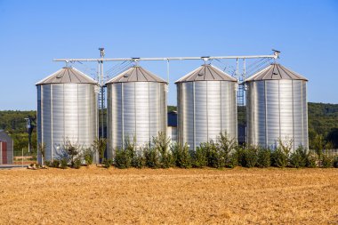 silo ile hasat alanında