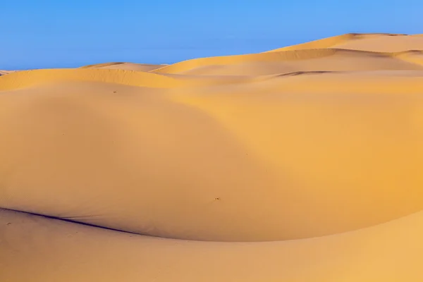 Duna de arena al amanecer en el desierto —  Fotos de Stock