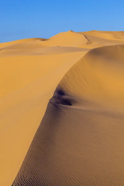 在日出在沙漠里的沙丘 — 图库照片