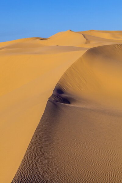 Песчаная дюна на восходе солнца в пустыне
