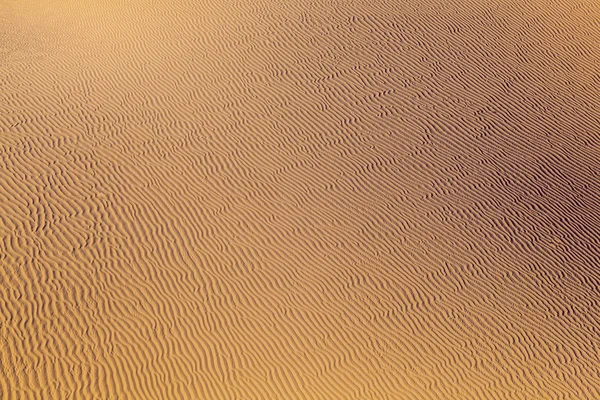 Duna de areia ao nascer do sol no deserto — Fotografia de Stock