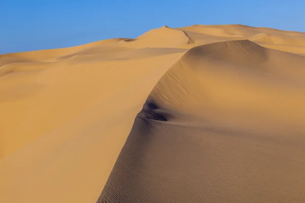 Duna de arena al amanecer en el desierto — Foto de Stock