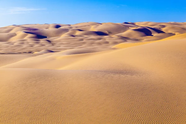 Піщана дюна на сході сонця в пустелі — стокове фото