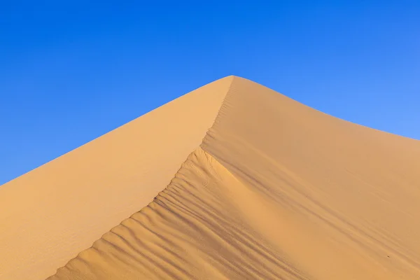 Песчаная дюна на восходе солнца в пустыне — стоковое фото