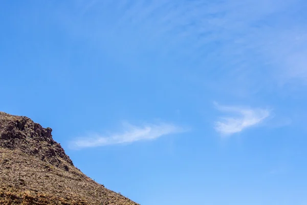 Красивый горный пустынный пейзаж с кактусами — стоковое фото