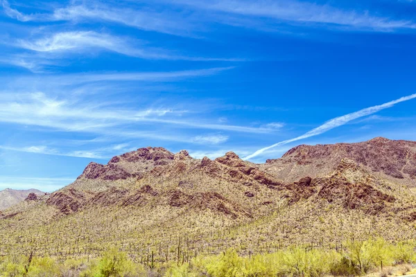 Pięknych górskich krajobrazów pustyni z kaktusów — Zdjęcie stockowe