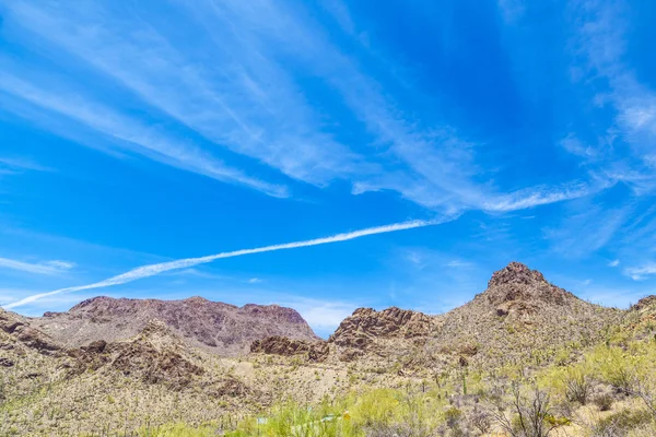 Bellissimo paesaggio desertico di montagna con cactus — Foto Stock