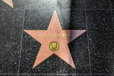 Eddie murphys yıldızı hollywood Şöhret Kaldırımı