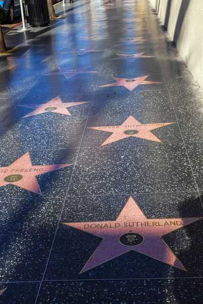 Sok csillag, mint a Donald Sutherland vagy a hollywoodi Friz Freleng — Stock Fotó