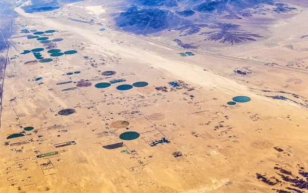 Сільське господарство в пустелі в Каліфорнії — стокове фото