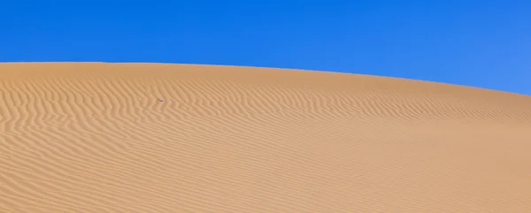 Duin van het zand van zonsopgang in de woestijn — Stockfoto