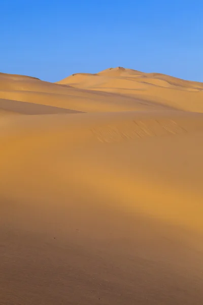 Písečné duny v sunrise v poušti — Stock fotografie