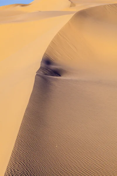 Sanddüne im Sonnenaufgang in der Wüste — Stockfoto