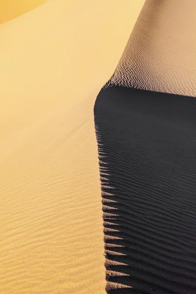 Αμμόλοφους στην Ανατολή του ηλίου στην έρημο — Φωτογραφία Αρχείου