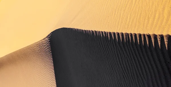 Піщана дюна на сході сонця в пустелі — стокове фото