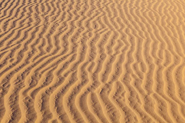 Dune de sable au lever du soleil dans le désert — Photo