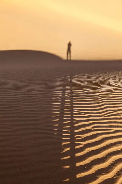 一个人在沙漠中的阴影 — 图库照片