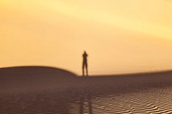 一个人在沙漠中的阴影 — 图库照片