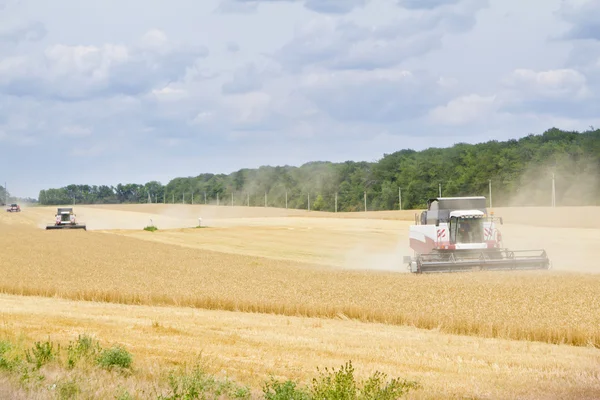 stock image Modern combine harvester working on a wheat crop