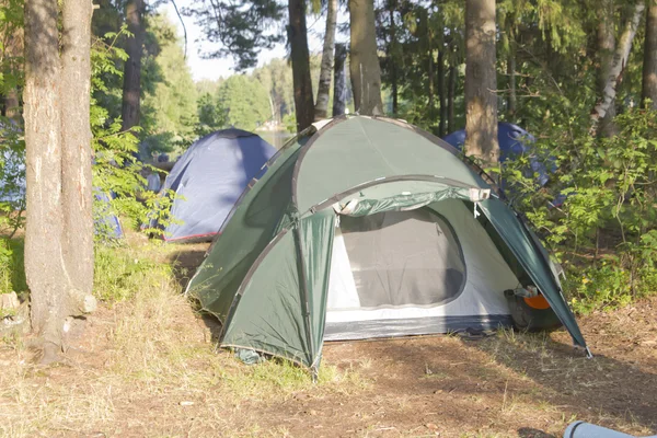 stock image Tents on grass in the forest