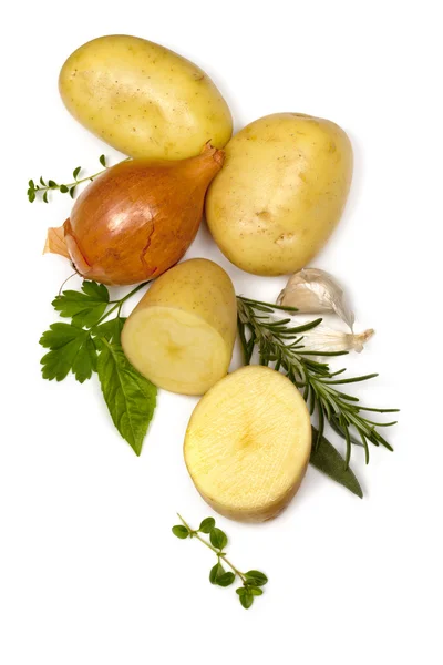 감자 양파 마늘과 흰색 위에 허브 — 스톡 사진