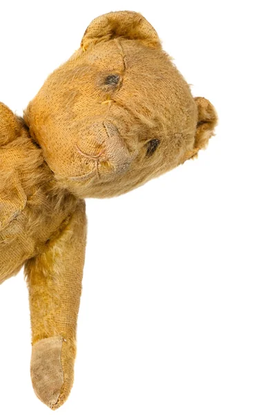 Vintage teddybeer gluren om hoek, over Wit — Stockfoto
