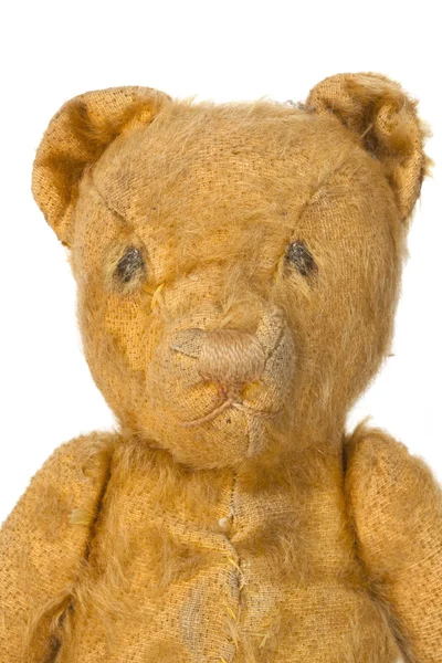 Vintage teddybeer portret over Wit — Stockfoto