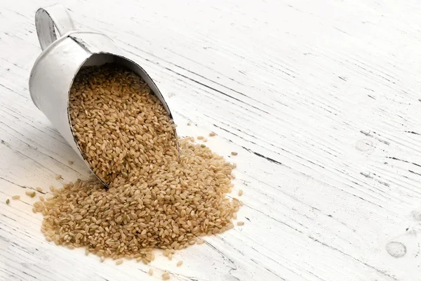 Scoop of Brown Rice on Rustic White Timber — Stock Photo, Image