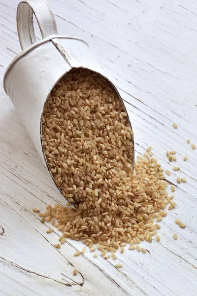 Skopa av brunt ris — Stockfoto