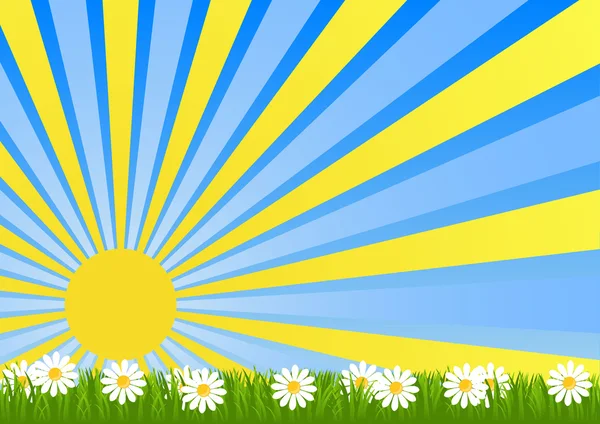 Світанку квітки поля, залита сонячним світлом — стоковий вектор