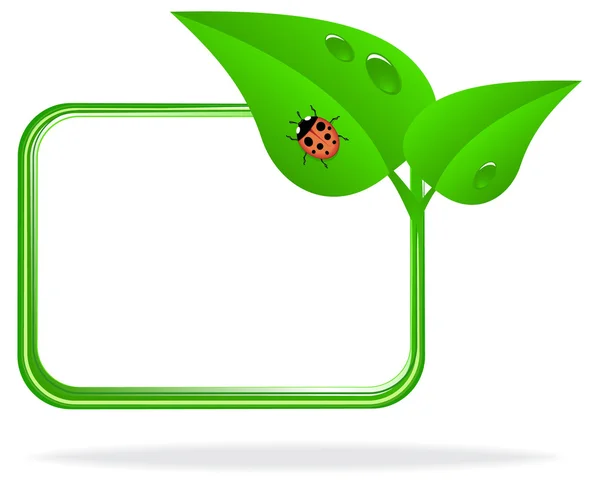 Yeşil yaprakta uğur böceği — Stok Vektör