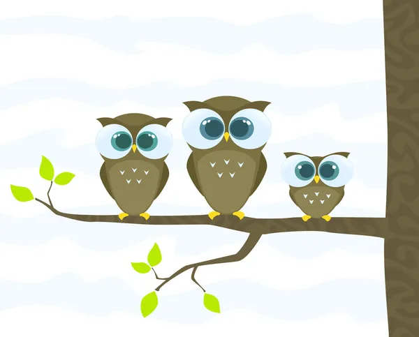 Family of owls — Stock Vector