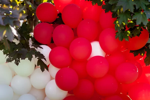 Balonlar kırmızı ve beyaz — Stok fotoğraf