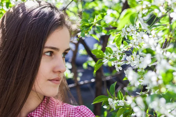 Mooi meisje was bloeiend tuin — Stockfoto