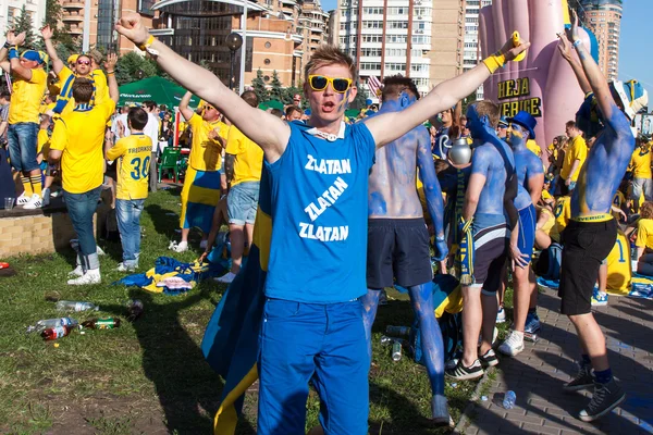 Fans de l'équipe nationale suédoise — Photo