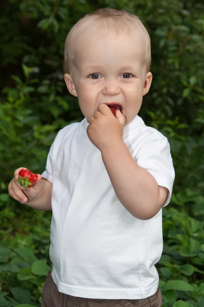 Ребенок в летнем саду — стоковое фото