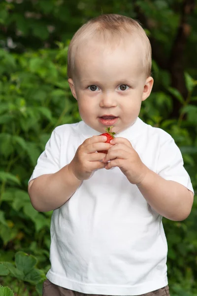 Bellissimo bambino nel giardino estivo — Foto Stock