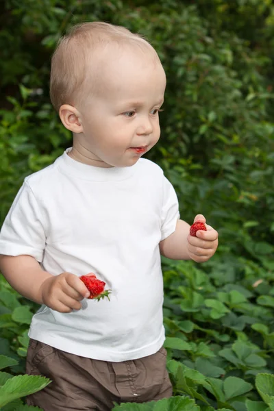 Beautiful child in summer garden — Stock Photo, Image