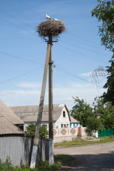 stock image Stork's nest on village street