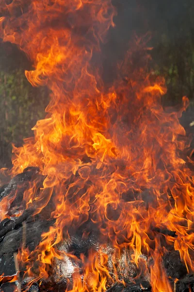 Enorme fuego — Foto de Stock