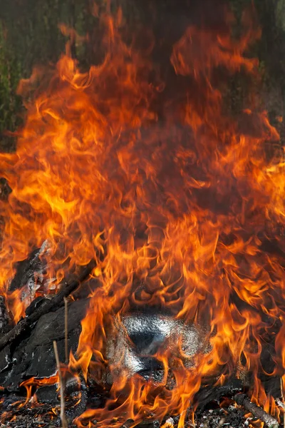 Obrovský požár — Stock fotografie