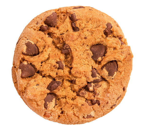 Chocolate chip cookie