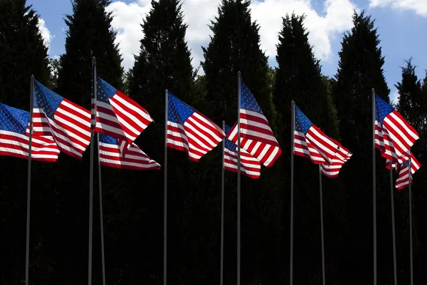 Många amerikanska flaggor — Stockfoto
