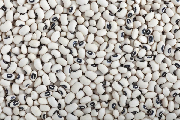 Black-Eyed pea textuur — Stockfoto