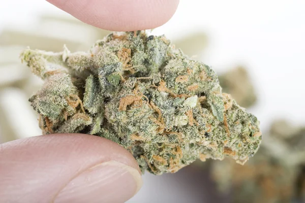 Cannabis in Fingern — Stockfoto
