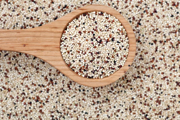 Quinoa με ξύλινο κουτάλι — Φωτογραφία Αρχείου
