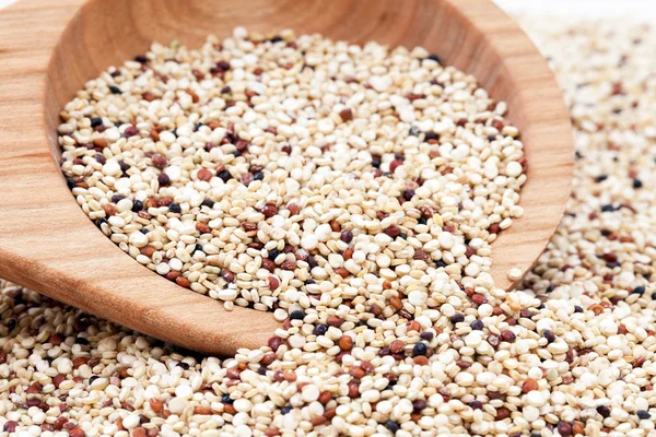 Mieszane quinoa — Zdjęcie stockowe