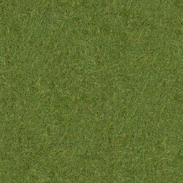 Tiling Grass Texture. — Stock Photo, Image
