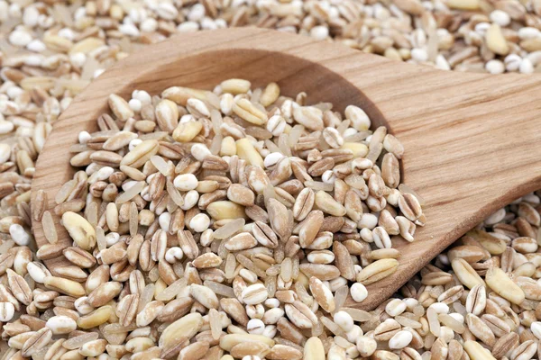 混合の健康的な穀物 — ストック写真